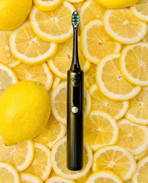 HÖLY Brush